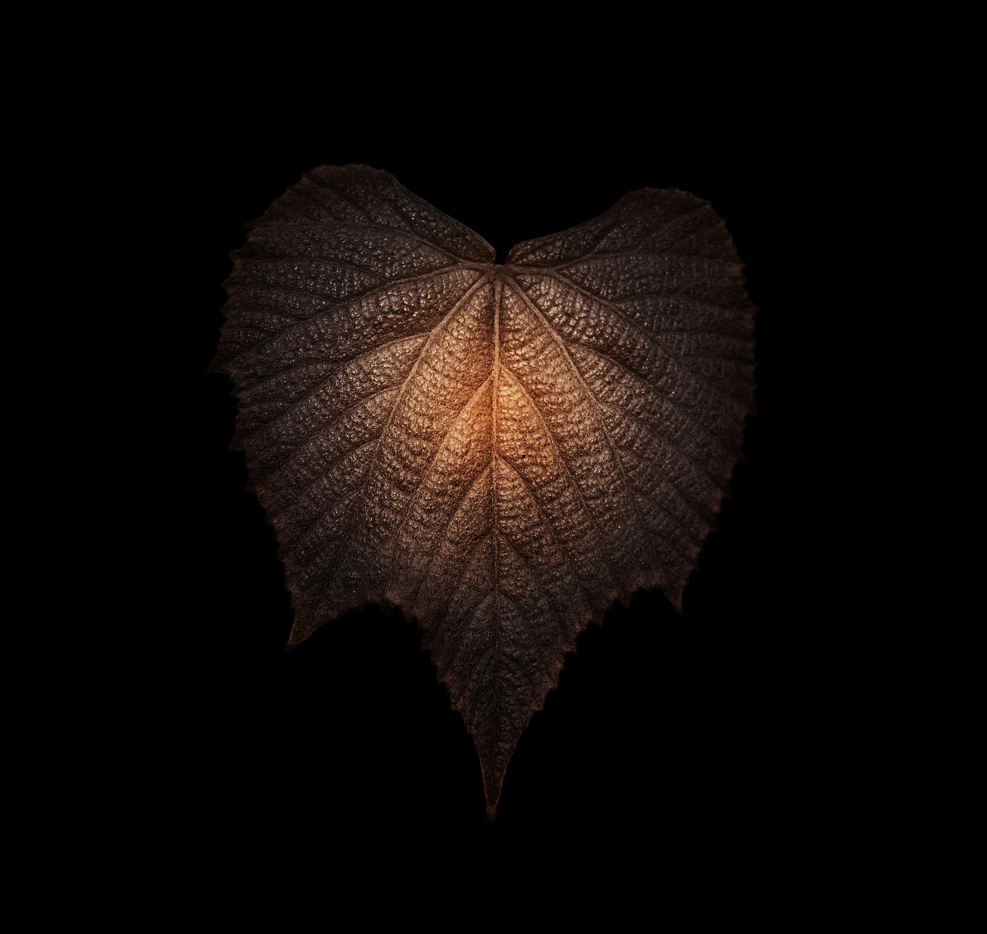 AZURA branding gallery image 6